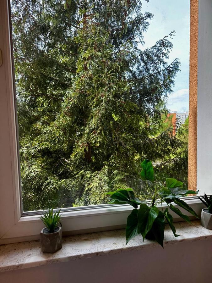 #7 Uroczy Pokoj Niedaleko Morza W Gdansku ! Apartment Exterior foto